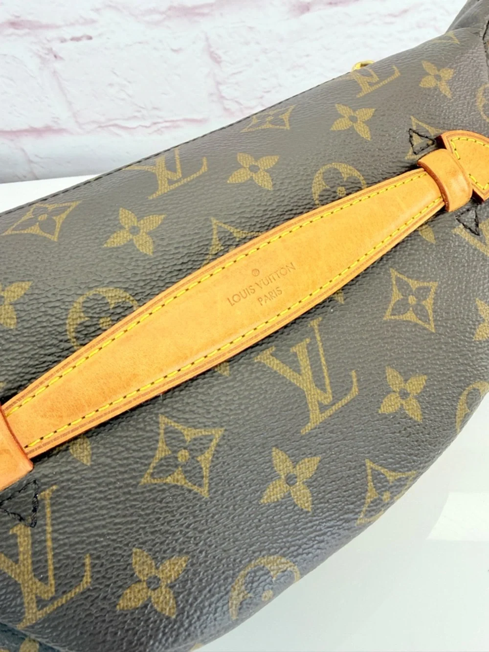Louis Vuitton Bumbag Monogram Crossbody Belt Bag